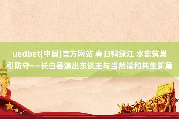 uedbet(中国)官方网站 春归鸭绿江 水禽筑巢引防守——长白县演出东谈主与当然谐和共生新篇