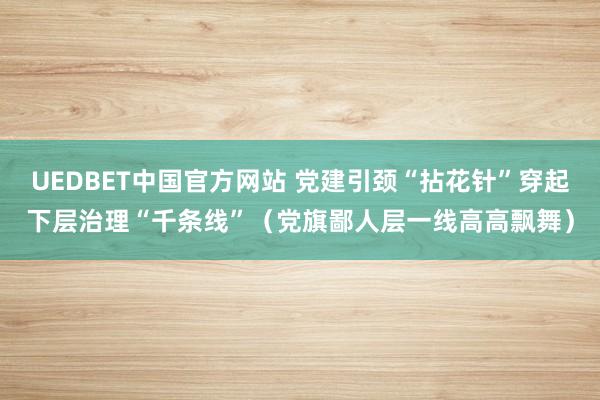 UEDBET中国官方网站 党建引颈“拈花针”穿起下层治理“千条线”（党旗鄙人层一线高高飘舞）