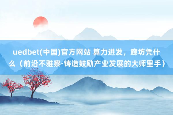 uedbet(中国)官方网站 算力迸发，廊坊凭什么（前沿不雅察·铸造鼓励产业发展的大师里手）
