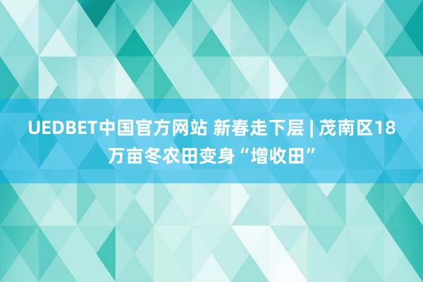 UEDBET中国官方网站 新春走下层 | 茂南区18万亩冬农田变身“增收田”