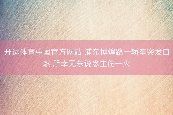 开运体育中国官方网站 浦东博煌路一轿车突发自燃 所幸无东说念主伤一火