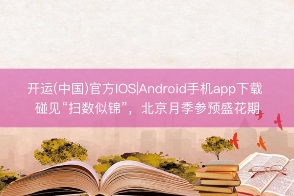 开运(中国)官方IOS|Android手机app下载 碰见“扫数似锦”，<a href=