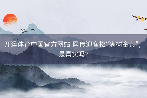 开运体育中国官方网站 网传迎客松“满树金黄”， 是真实吗?
