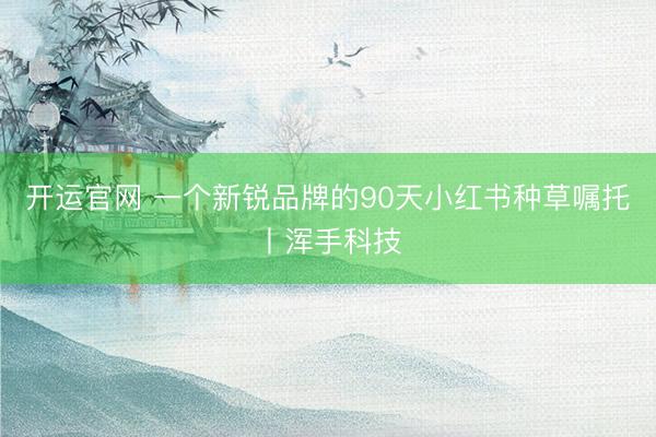 开运官网 一个新锐品牌的90天小红书种草嘱托丨浑手科技